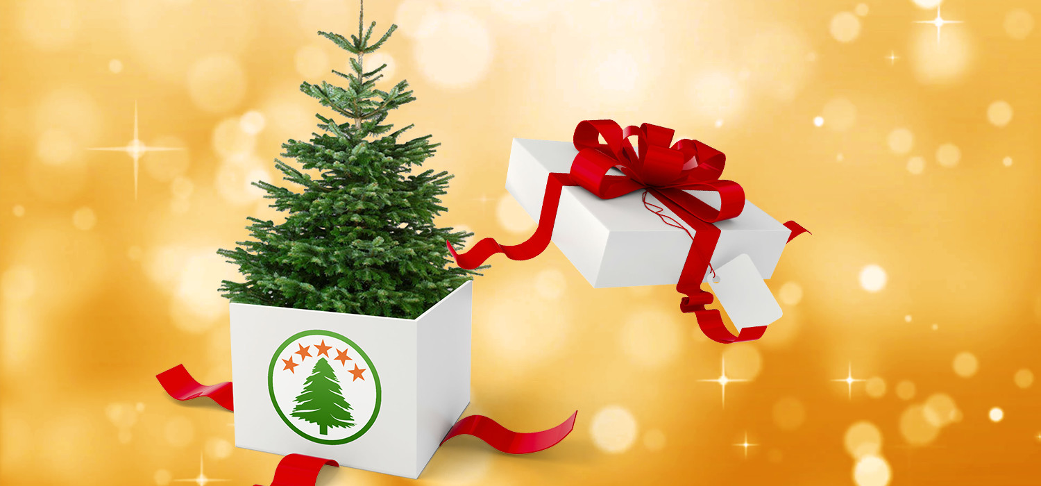 Give a Christmas tree as a gift from your company